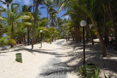 strandweg-durch-die-riu-resorts_0840