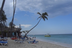 barcelo-dominican-beach-strandbereich_3195