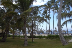 barcelo-dominican-beach-strandbereich_3199