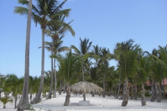 ausflug-marinarium-the-beginning_1294