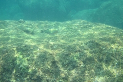 Unawatuna-Sri-lanka-090