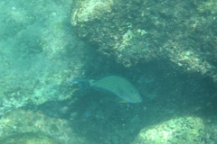 Unawatuna-Sri-lanka-093