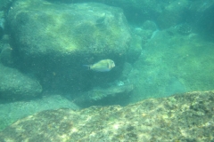 Unawatuna-Sri-lanka-098