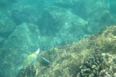 Unawatuna-Sri-lanka-101