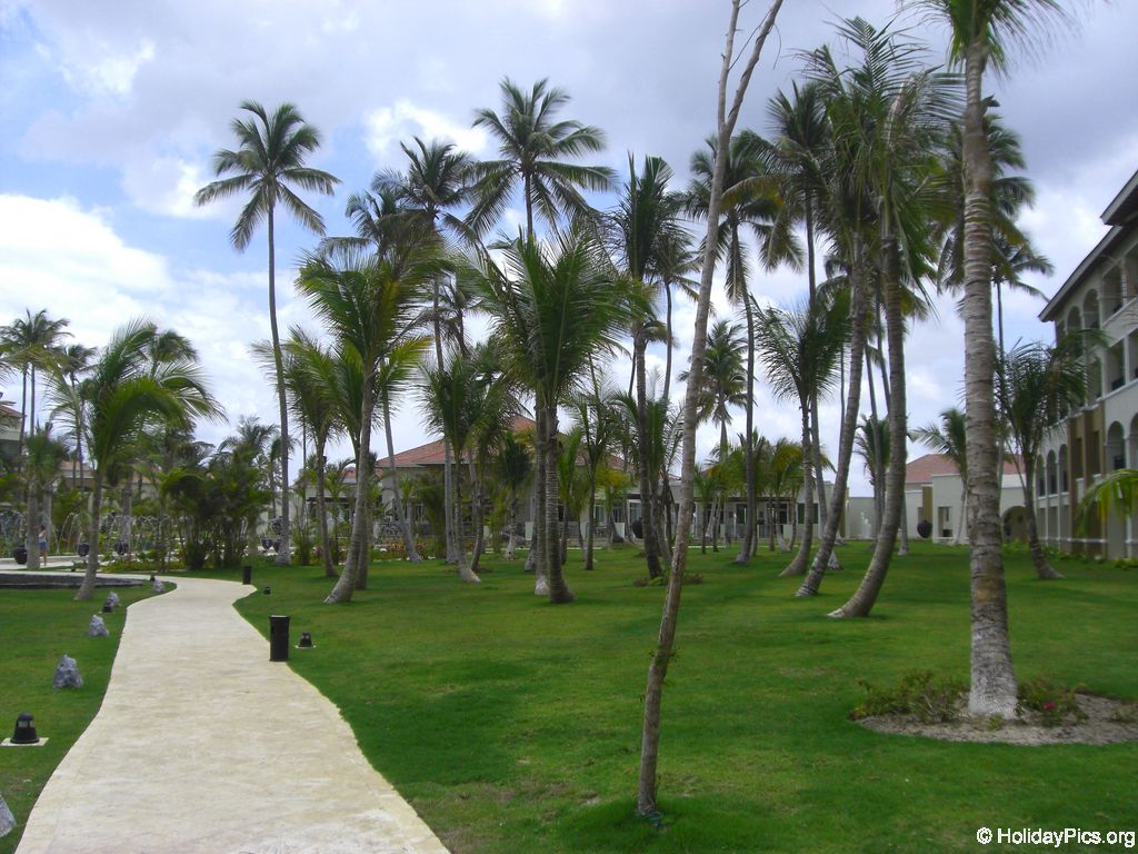 edenh-real-arena-punta-cana-verschiedenes_4274