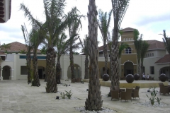 edenh-real-arena-punta-cana-verschiedenes_4258