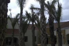 edenh-real-arena-punta-cana-verschiedenes_4266