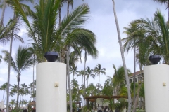 edenh-real-arena-punta-cana-verschiedenes_4273