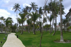 edenh-real-arena-punta-cana-verschiedenes_4274