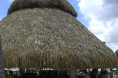 edenh-real-arena-punta-cana-verschiedenes_4283