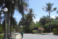 vom-palladium-bavaro-zum-plaza-bavaro_3029