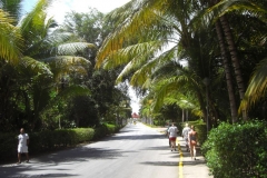 vom-palladium-bavaro-zum-plaza-bavaro_3031