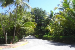 vom-palladium-bavaro-zum-plaza-bavaro_3034