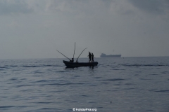 Whale & Dolphin Watching Mirissa Bach