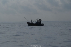 Whale & Dolphin Watching Mirissa Bach