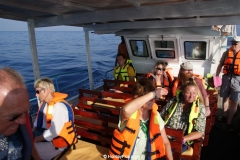 Whale & Dolphin Watching Mirissa Bach