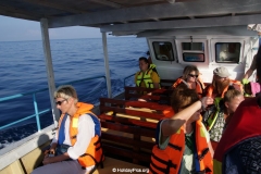 Whale & Dolphin Watching Mirissa Bach
