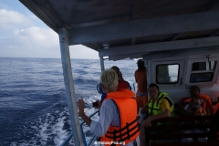 Whale & Dolphin Watching Mirissa Bach