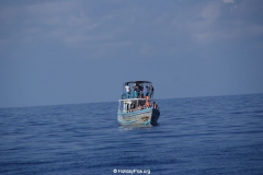 Whale & Dolphin Watching Mirissa Bach