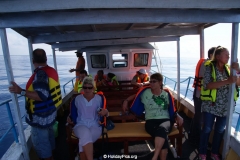 Whale & Dolphin Watching Mirissa Bach