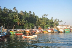 Whale-Dolphin-Watching-093_