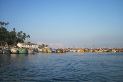 Whale-Dolphin-Watching-095_