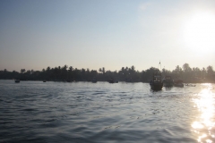 Whale-Dolphin-Watching-096_