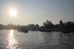 Whale-Dolphin-Watching-097_