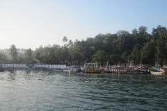 Whale-Dolphin-Watching-098_