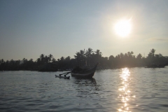 Whale-Dolphin-Watching-099_