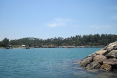 Whale-Dolphin-Watching-120_