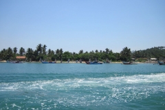 Whale-Dolphin-Watching-121_