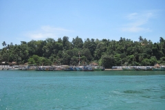 Whale-Dolphin-Watching-122_