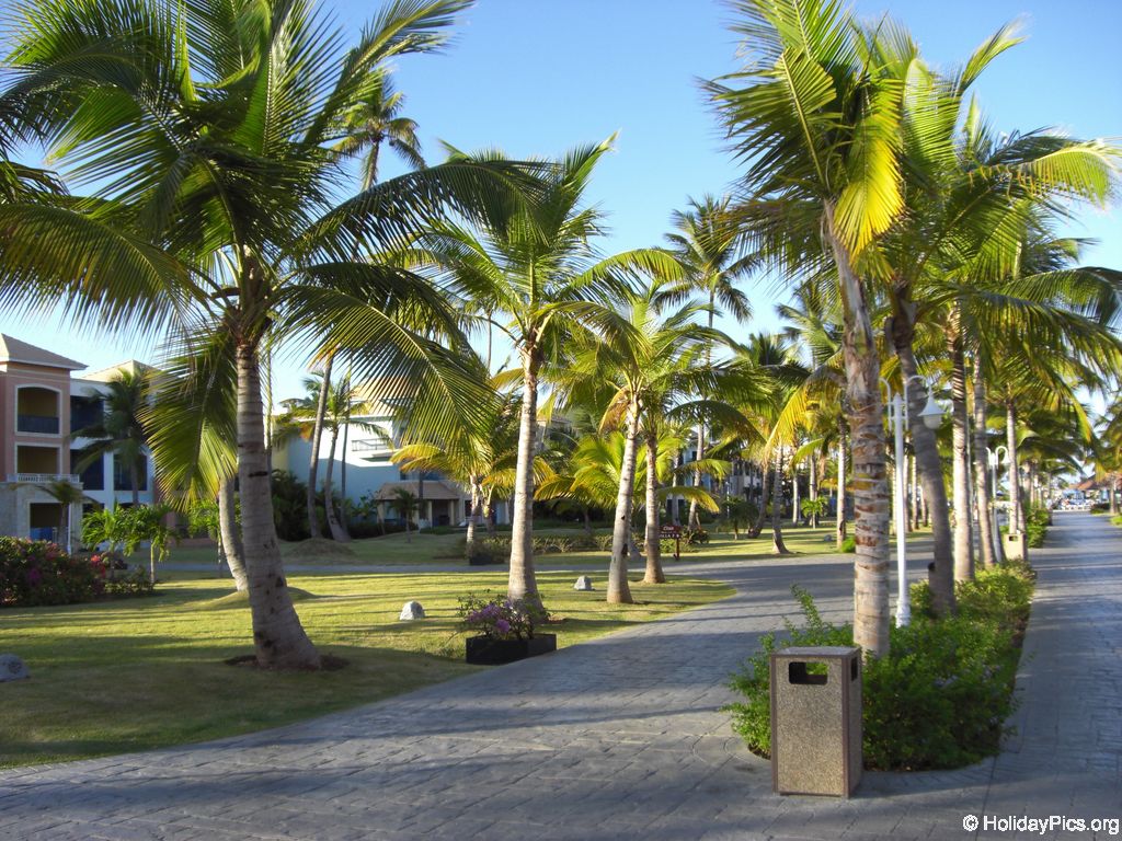 ocean-sand-golf-resort_266