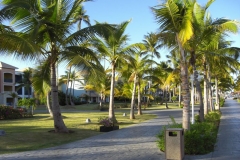 ocean-sand-golf-resort_266