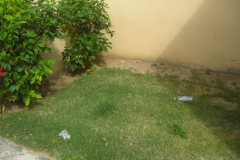 ocean-sand-quer-durchs-resort_1931