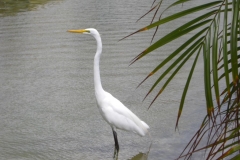 ocean-sand-quer-durchs-resort_2064