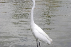 ocean-sand-quer-durchs-resort_2065