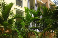 ocean-sand-quer-durchs-resort_2112