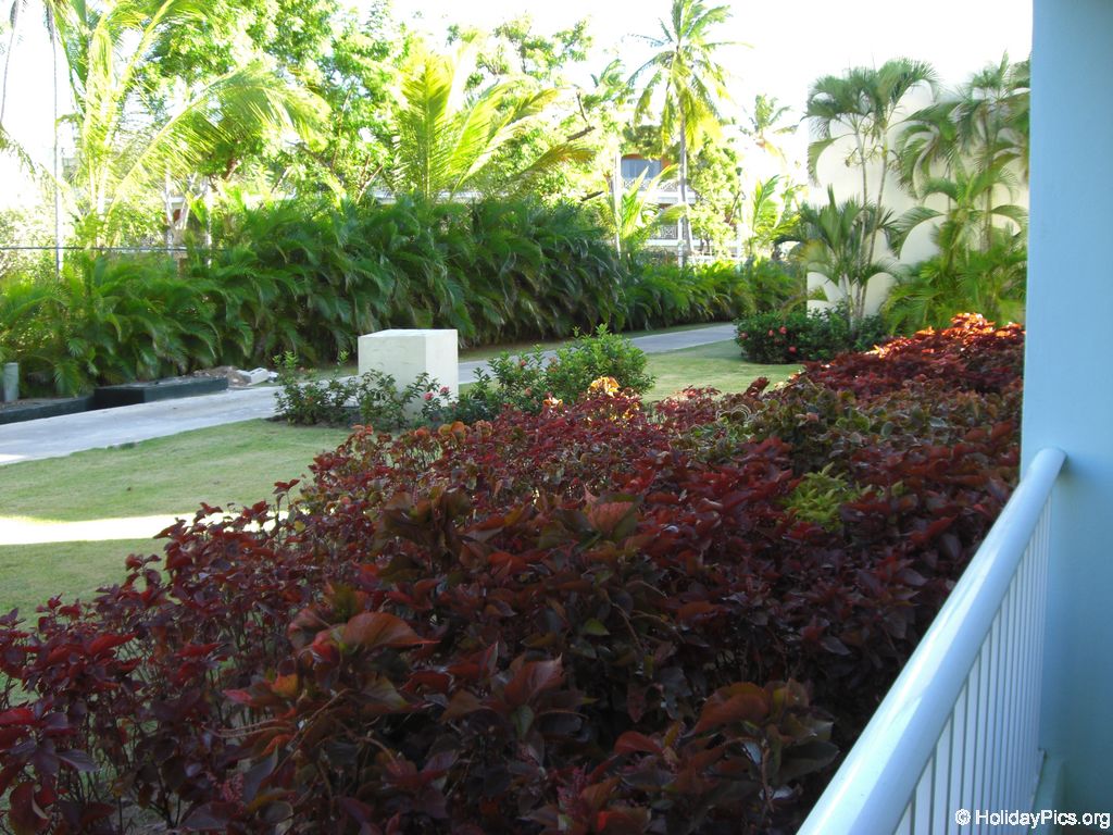 ocean-sand-golf-resort-zimmer_246