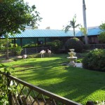 sunscape-casa-del-mar_016