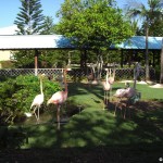 sunscape-casa-del-mar_020