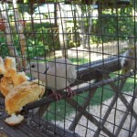 sunscape-casa-del-mar_022