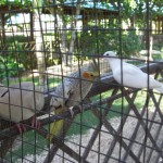 sunscape-casa-del-mar_023