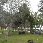 sunscape-casa-del-mar_046