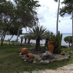 sunscape-casa-del-mar_gartenanlage080