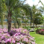 sunscape-quer-durchs-hotel_086