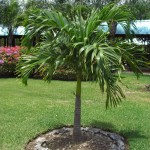 sunscape-quer-durchs-hotel_177