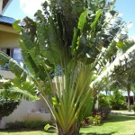 sunscape-quer-durchs-hotel_276