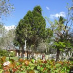 sunscape-quer-durchs-hotel_517